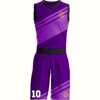 Баскетбольная форма ЭКИПО STRIPE Фиолетовый цвет